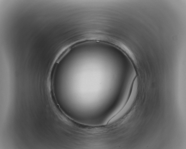 X0000111660891200907241149