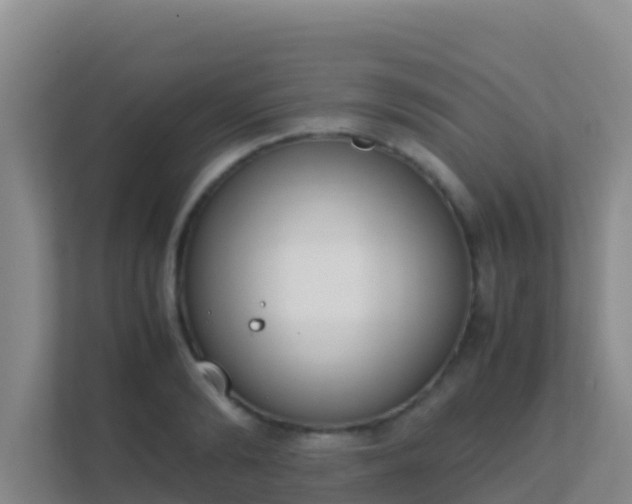 X0000111660894200907241149