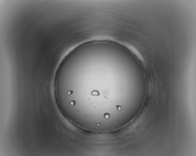 X0000111660895200907241149