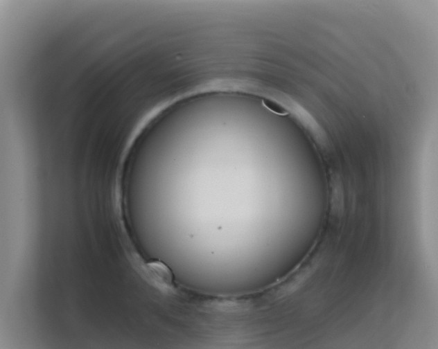 X0000111660896200907241149
