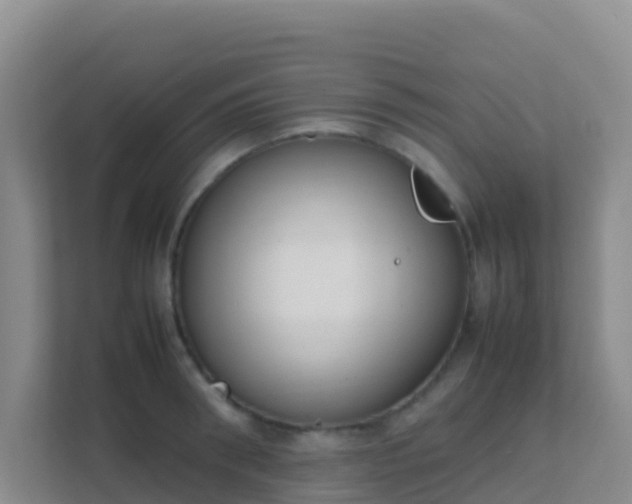 X0000111660898200907241149