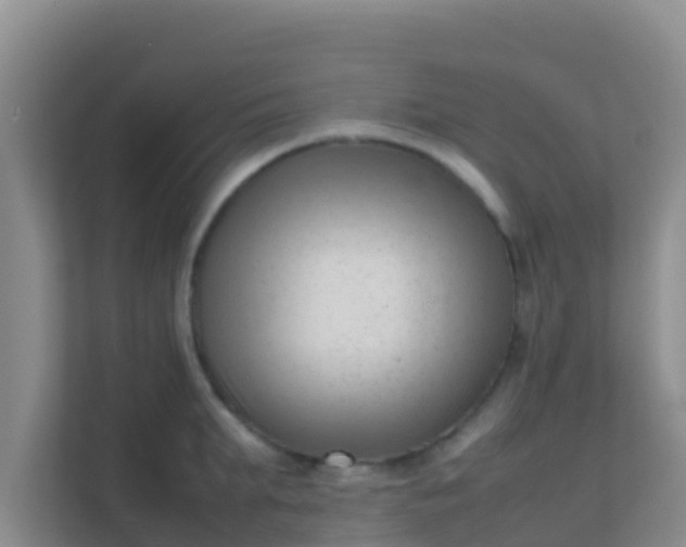 X0000111660903200907241149