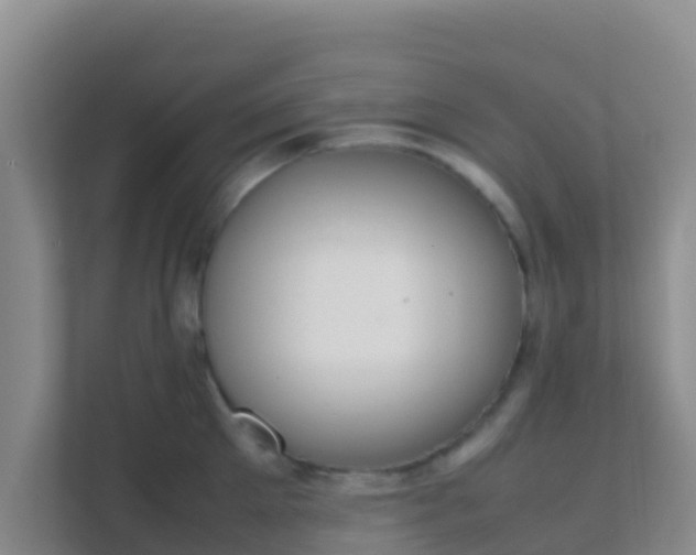 X0000111660905200907241149