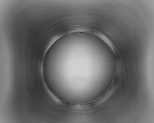 X0000111660906200907241149