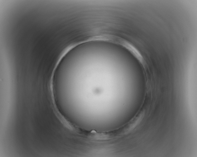 X0000111660907200907241149
