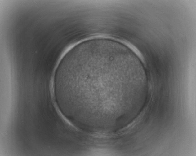 X0000111660911200907241149