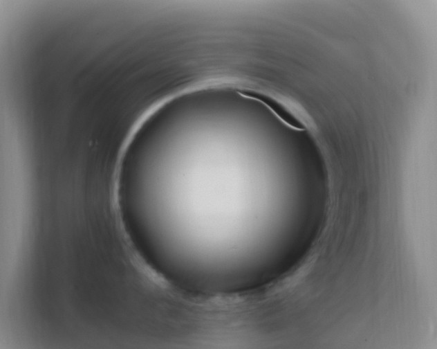 X0000111660912200907241149