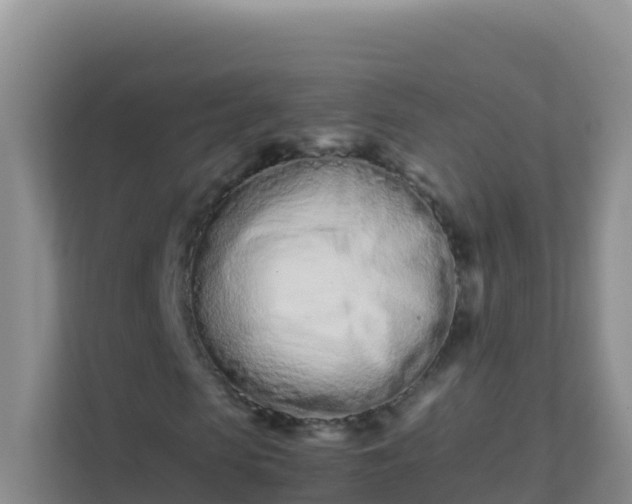 X0000111660913200907241148