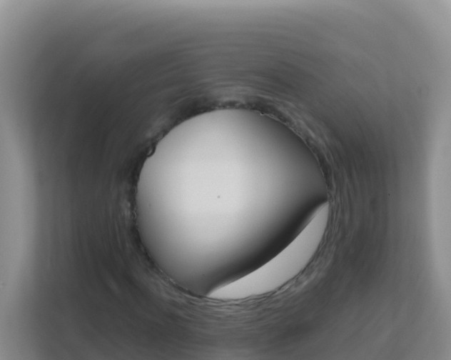 X0000111660916200907241148