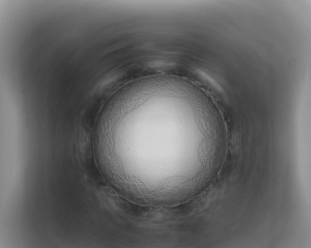 X0000111660917200907241148