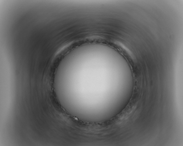 X0000111660919200907241148