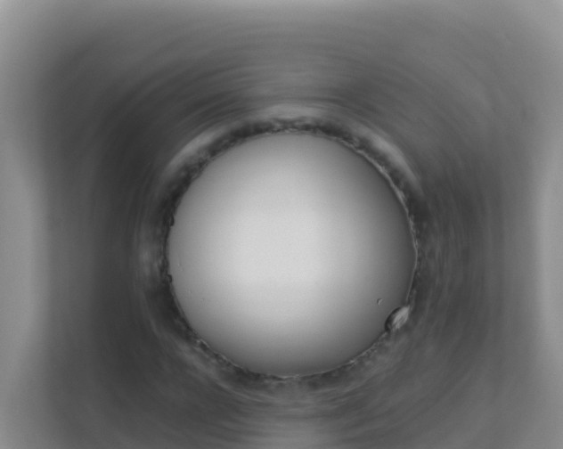 X0000111660920200907241148