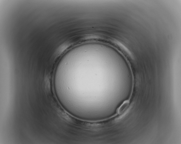 X0000111660921200907241148