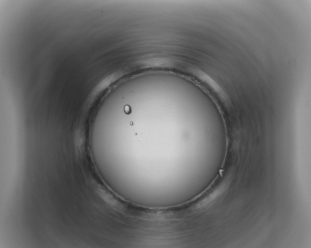 X0000111660922200907241148