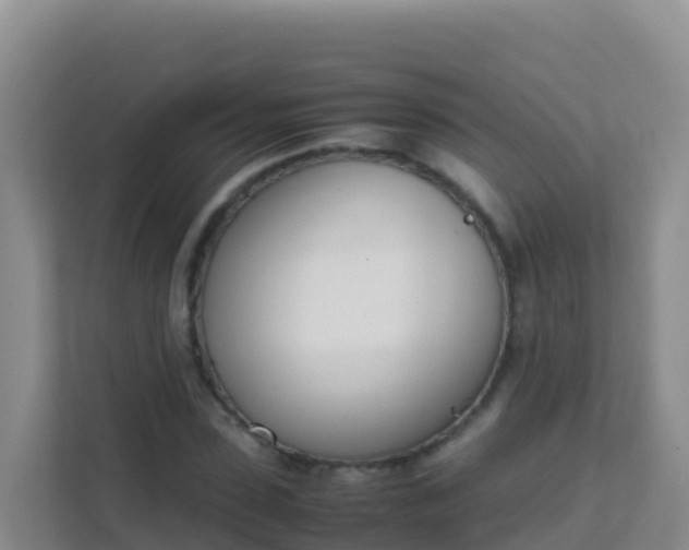 X0000111660923200907241148