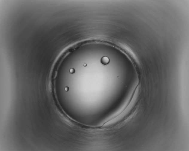 X0000111660924200907241148