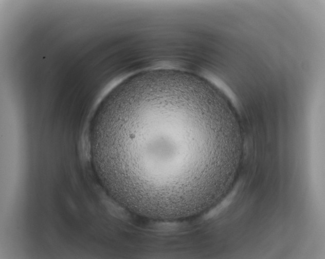 X0000111660925200907241148