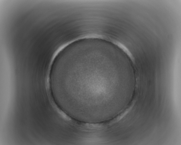 X0000111660928200907241148