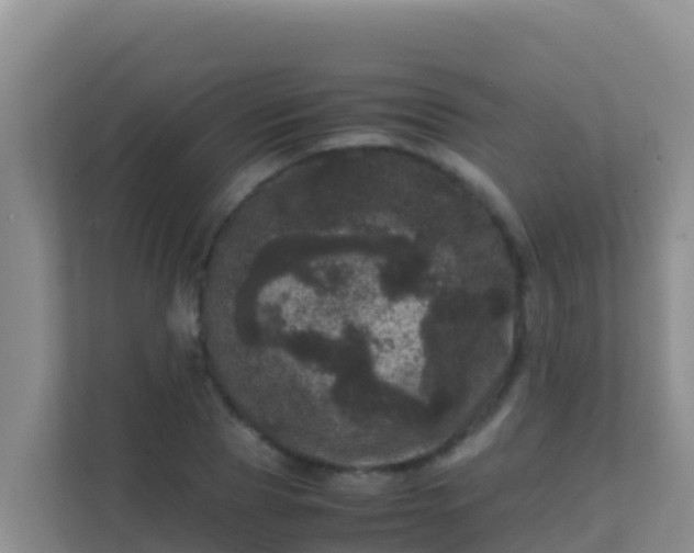 X0000111660929200907241148