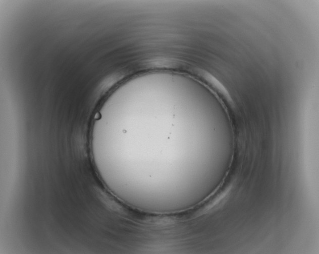 X0000111660930200907241148