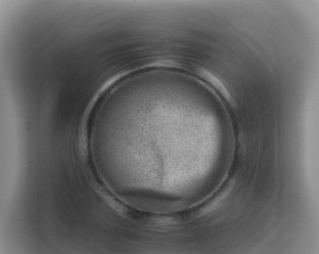 X0000111660931200907241148