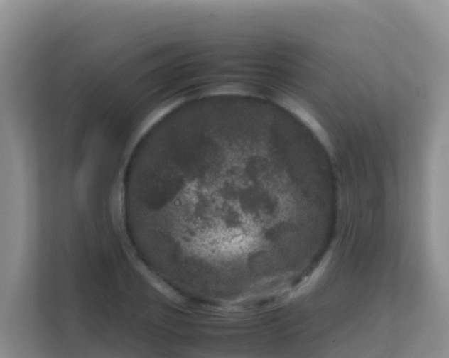 X0000111660933200907241148
