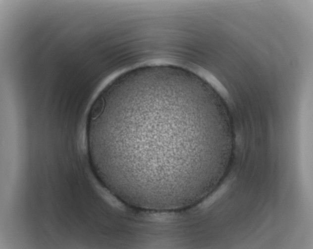 X0000111660934200907241148