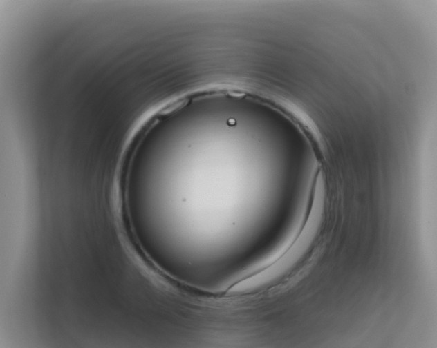 X0000111660936200907241149