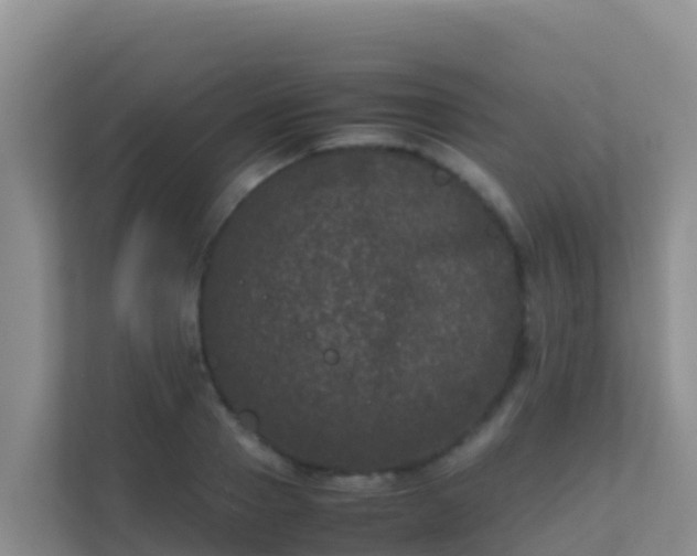 X0000111660937200907241149
