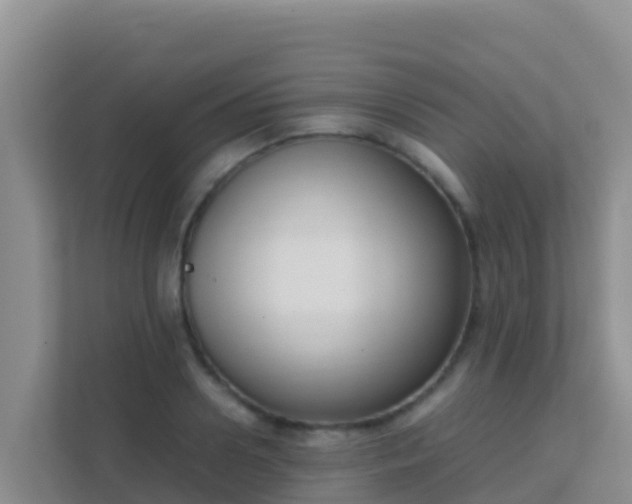 X0000111660938200907241149