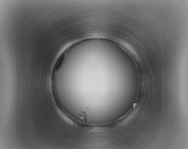 X0000111660942200907241149