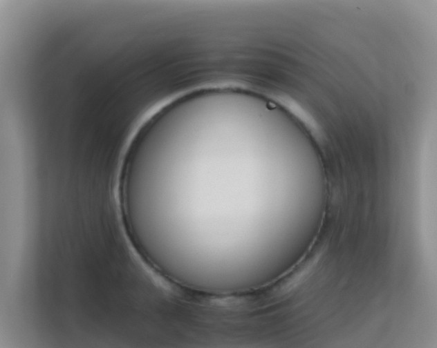X0000111660943200907241149