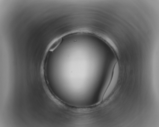X0000111660944200907241149