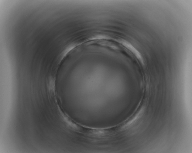 X0000111660945200907241149