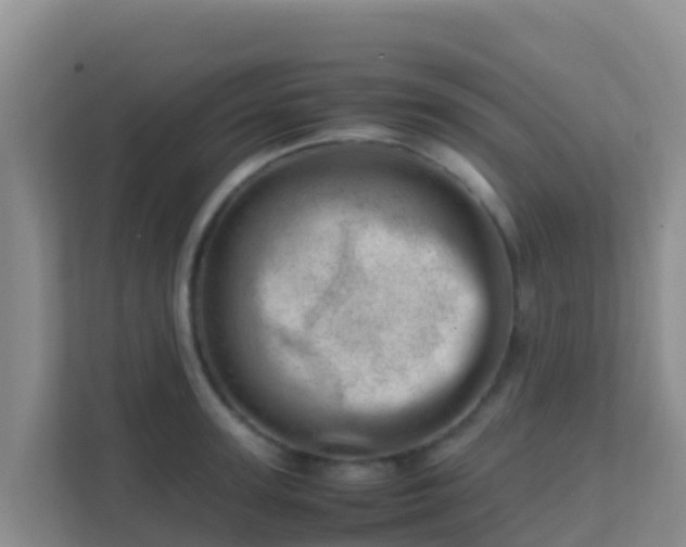 X0000111660947200907241149