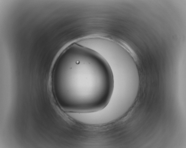 X0000111660948200907241149