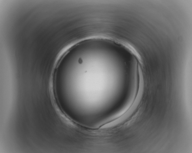 X0000111660952200907241149