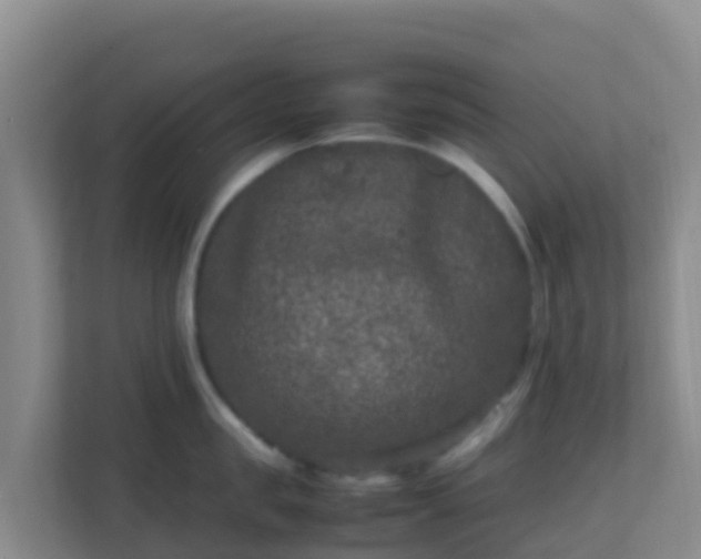 X0000111660957200907241149