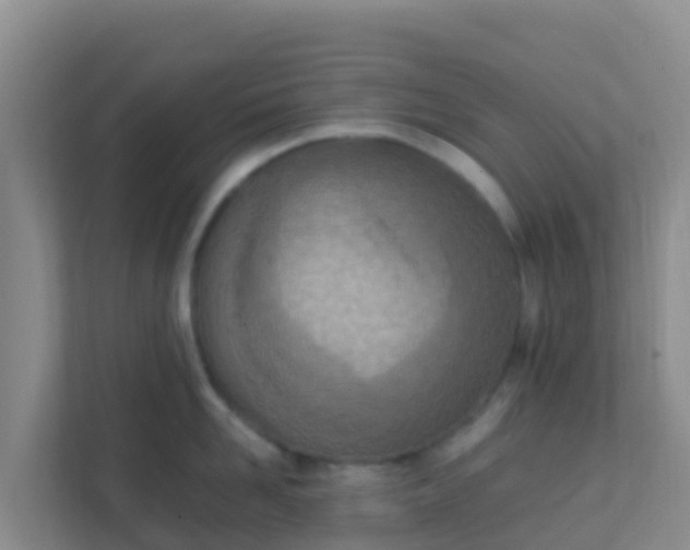 X0000111660958200907241149
