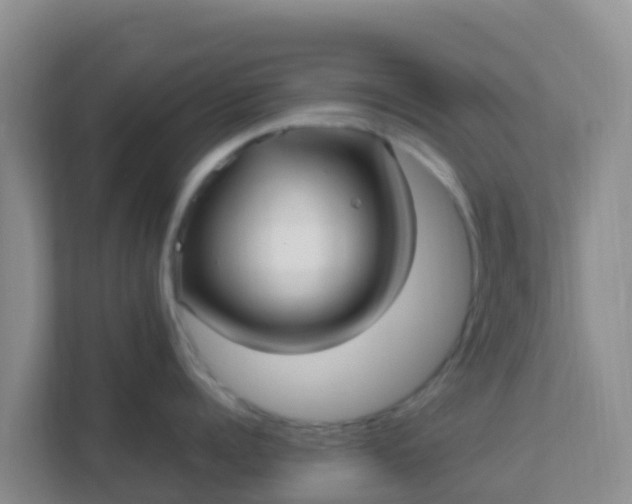 X0000111660960200907241149