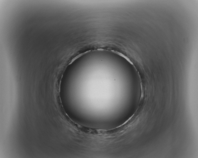 X0000111660961200907241148