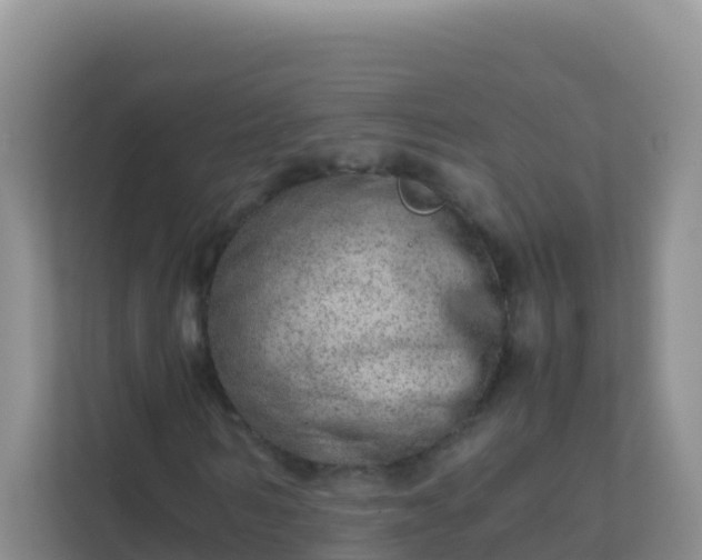 X0000111660962200907241148