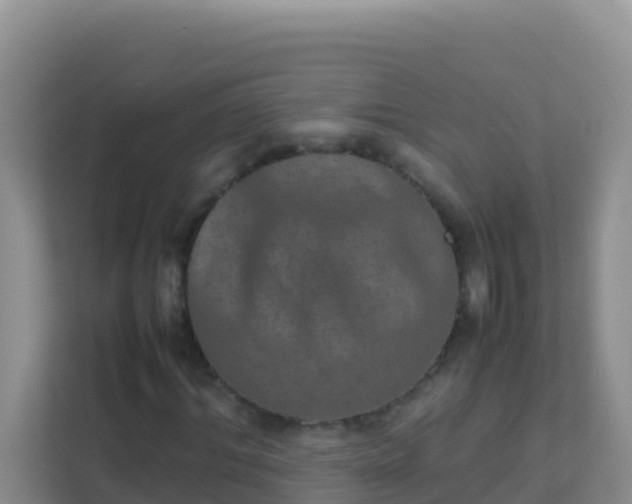 X0000111660964200907241148