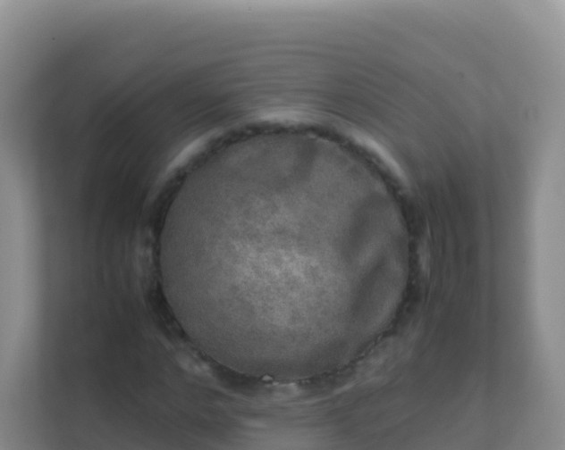 X0000111660968200907241148