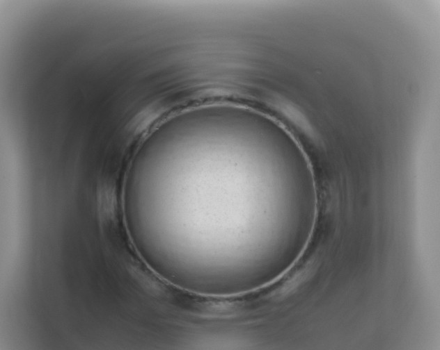 X0000111660969200907241148