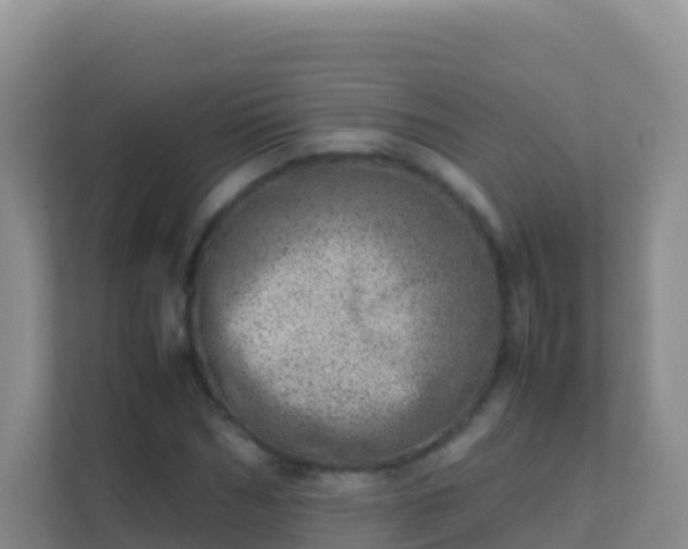 X0000111660970200907241148