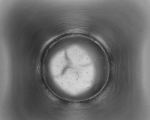 X0000111660971200907241148