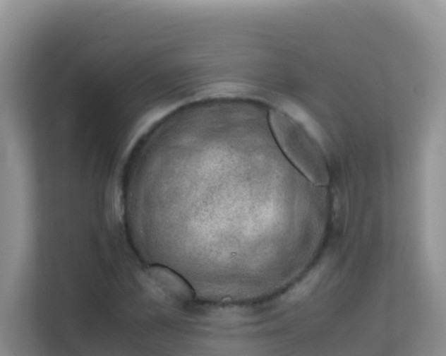 X0000111660973200907241148