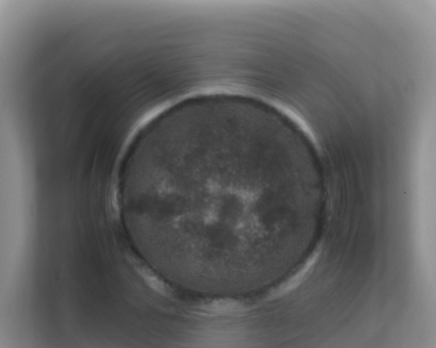 X0000111660974200907241148