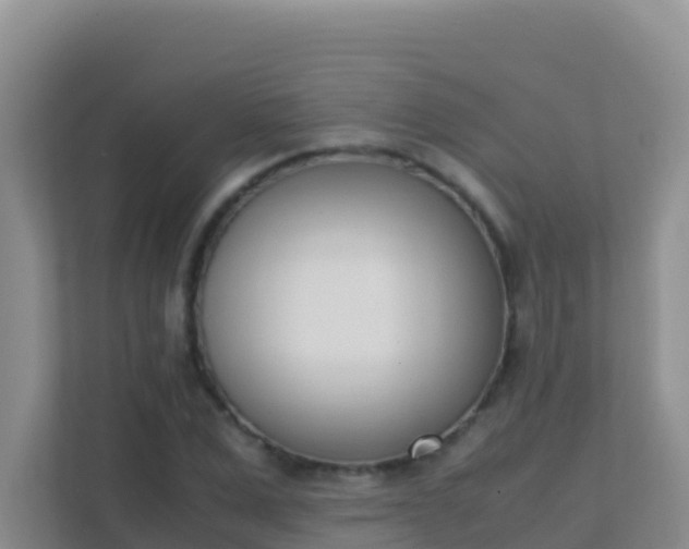 X0000111660975200907241148